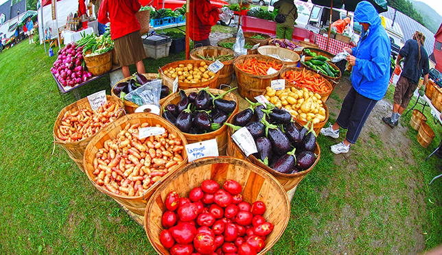 Waitsfield Farmer's Market