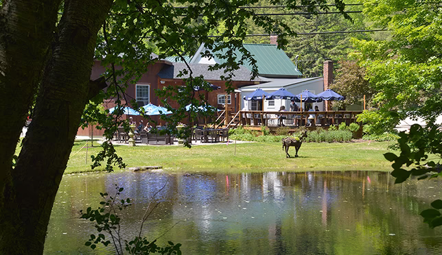 Hyde Away Deck Overlooking the Pond
